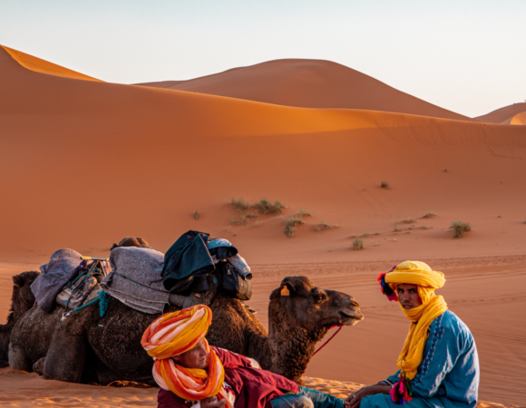 A Night Under the Stars: The Ultimate Marrakech Camel Camp Experience